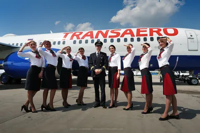 Большая часть самолетов «Трансаэро» улетела из России - Ведомости