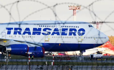 Авиакомпания \"Трансаэро\" и созданный Русским географическим обществом центр  \"Амурский тигр\" представили Boeing 747 в тигриной раскраске. | Пикабу