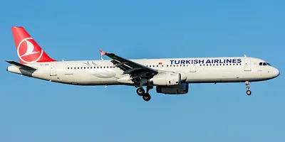 Turkish Airlines приносит извинения и обещает завтра вернуть пассажирам их  багаж | Новости Таджикистана ASIA-Plus