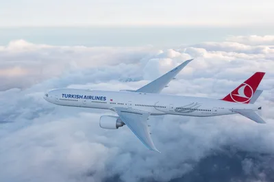 Путешествие классом Economy | Лучшая авиакомпания Европы | Turkish Airlines  ®