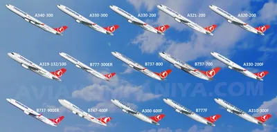 Как сейчас туристы летят в Турцию рейсами Turkish Airlines | Ассоциация  Туроператоров