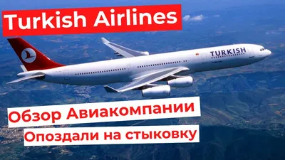 Две турецкие авиакомпании приостановили полеты в Израиль - Газета.Ru |  Новости