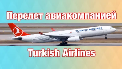 Boeing 737-800 | Парк самолетов | Turkish Airlines ®