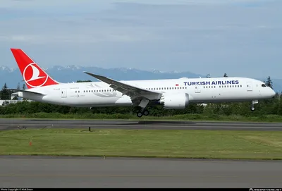 Отзывы об авиакомпании Turkish Airlines