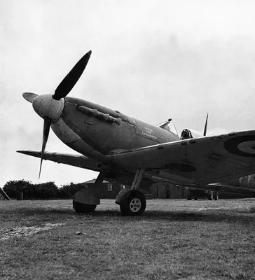 Самолет британских ВВС времен Второй Мировой войны обнаружен в пустыне  Сахара спустя 70 лет после падения
