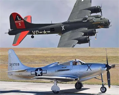 Эхо войны: Боевые самолеты Второй мировой, найденные поисковыми отрядами