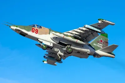 Модель самолета МиГ-31БМ (М1:48, ВВС России, RF-92382, 50) – купить в  интернет-магазине, цена, заказ online