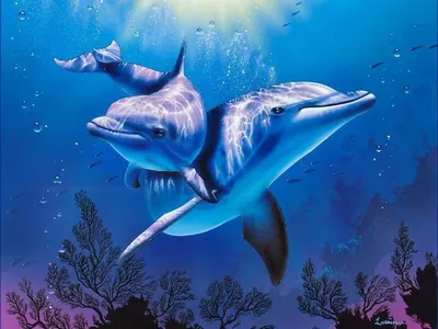 Дельфин фото - origins.org.ua
