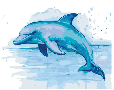 40 Интересных фактов о дельфинах (41 фото) » Невседома - жизнь полна  развлечений, Прикольные картинки, Видео, Юмор, Фотографии, Фото, Эротика.  Развлекательный ресурс. Развлечение на каждый день