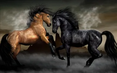 Самые красивые черные лошади - красивые фото