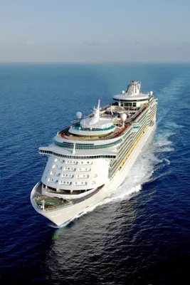 Freedom of the Seas | Cruise ship pictures, Best cruise ships, Freedom of  the seas