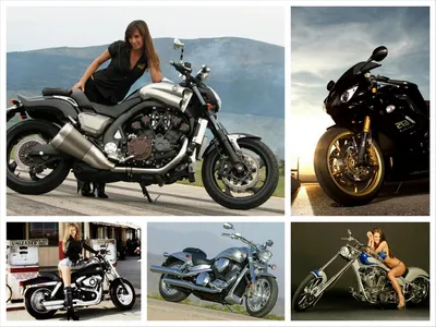 Взгляните на совершенство: фотографии самых элегантных мотоциклов