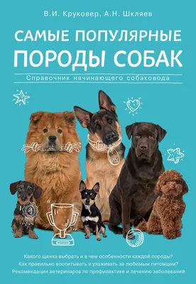 Названы самые популярные породы собак у россиян - Афиша Daily
