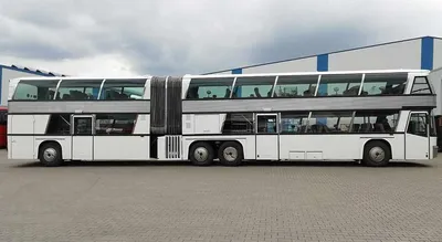 Самые длинные автобусы в мире: топ-10 примеров (фото)
