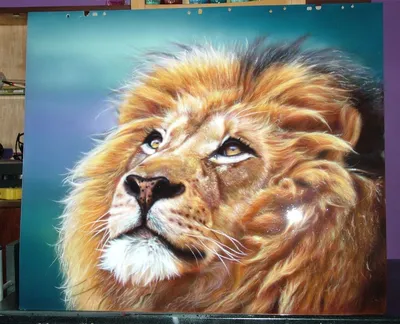 Лев хищник Африки самый большой земный Стоковое Фото - изображение  насчитывающей кошачий, мужчина: 151886190