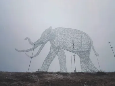 Слон с самыми большими в мире бивнями умер в Кении - 05.02.2020, Sputnik  Беларусь