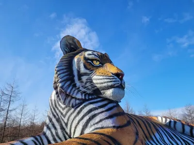 Сихотэ-Алинский государственный природный заповедник - Самый большой  заповедник в ареале амурского тигра