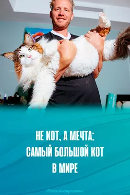 Дивный мир за неделю: музыка от паралича, самый толстый кот и унесенная  океаном – Москва 24, 21.04.2023