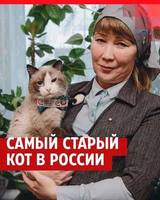 Поколение котосексуалов: самый верный и понимающий спутник современного  мужчины — его кот - Москвич Mag