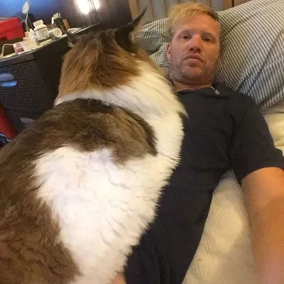 Как выглядит мейн-кун Кефир – самый большой кот в мире - Pets