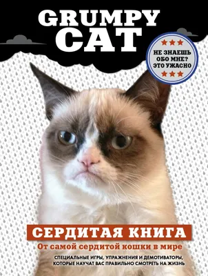 Самый грустный котенок в мире: 25 июля 2014, 04:47 - новости на  Tengrinews.kz