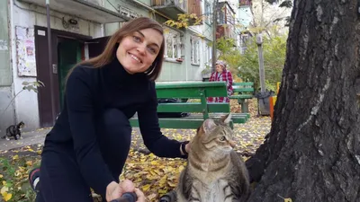 Умер самый толстый кот России Степан из Бийска