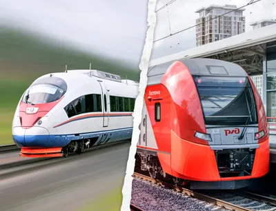 Скоростной поезд «Сапсан» сообщением Москва – Петербург: как купить билеты,  цены, советы