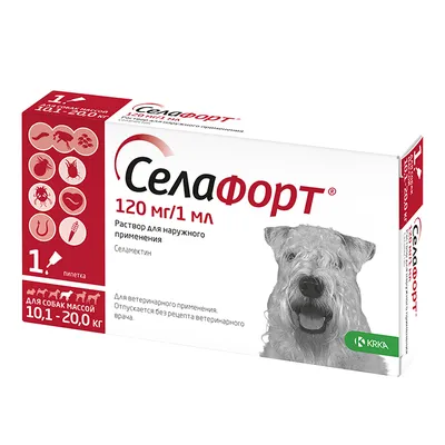 Купить NexGard SPECTRA (Нексгард СПЕКТРА) жевательная таблетка против блох,  клещей, гельминтов для собак в Киеве и по всей Украине - цена, отзывы в  зоомагазине Зоодом Бегемот