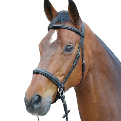 Седло для лошади КОМФОРТ - купить с доставкой по выгодным ценам в  интернет-магазине OZON (756550865)
