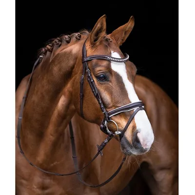Седло со стременами на лошади Стоковое Фото - изображение насчитывающей  мерин, шерсть: 194067786