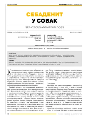 Ceva (Сева) Adaxio S3 - Шампунь против себорейного дерматита для собак -  Купить онлайн, цена и отзывы на E-ZOO