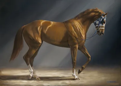 56 рез. по запросу «Секретариат (лошадь)» — изображения, стоковые  фотографии, трехмерные объекты и векторная графика | Shutterstock