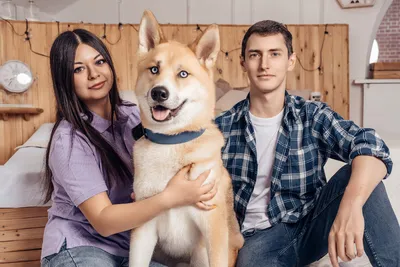 Семейная фотосессия с собакой в студии . Стоимость от 5000 рублей в Москве