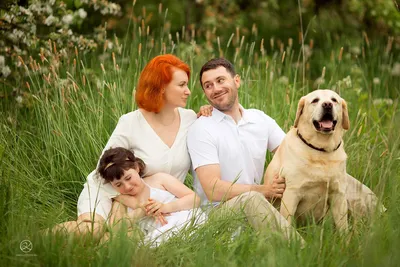 Как познакомить щенка с членами семьи и другими питомцами | Royal Canin UA