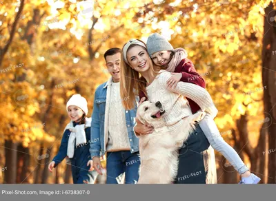 Семья с собакой | Фотосессия, Рождественские фотосессии, Семейные фотосессии