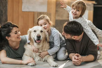 Невероятная семья с Сахалина с собакой-боякой попала на Первый канал -  Новости Сахалинской области - astv.ru