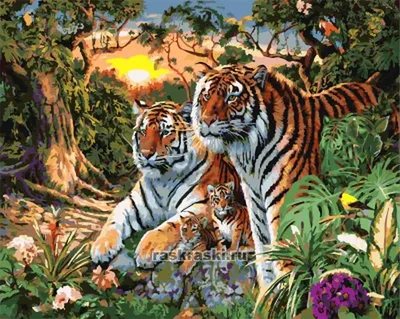 Семейство тигров — GX7861 40х50 см / Купить картину по номерам Paintboy