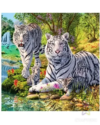ᐉ Купить Картина по номерам Семейство тигров BS52792 • цена 245 грн в  Украине