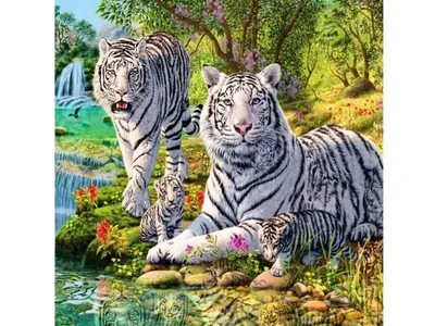 Мой маленький домашний тигр)) У домашних кошек и тигров одинаковая ДНК