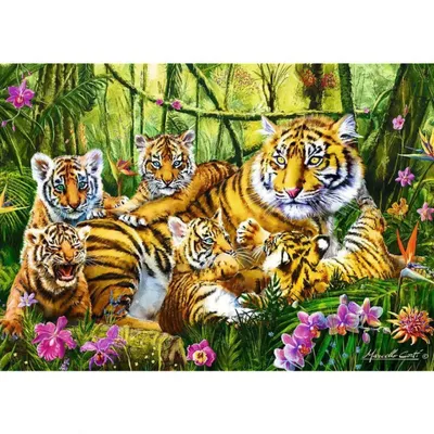 Дружная семья тигров Раскраска картина по номерам на холсте — купить в  интернет-магазине по низкой цене на Яндекс Маркете