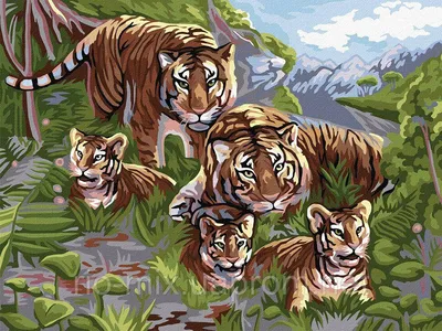 Семья тигров – YOYO