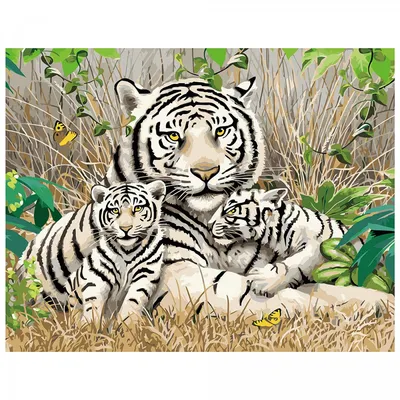 Купить Набор для росписи по номерам Семья тигров с лаком и уровнем 40х50  см. Strateg VA-0561 недорого