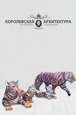 Семья тигров - красивые фото