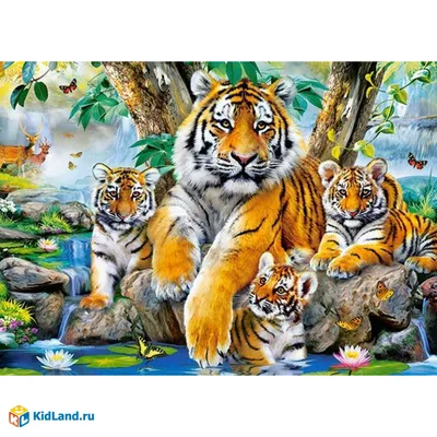 Картина по номерам Семья тигров 30х40 см Данко-Тойс KpN-03-06 | AliExpress
