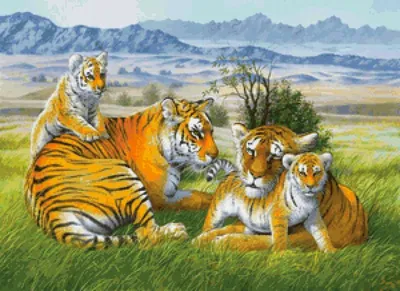 Набор фигурок животных серии «Мир диких животных»: Семья тигров, 6  предметов артикул MM201-008 купить в Москве в интернет-магазине детских  игрушек и товаров для детей
