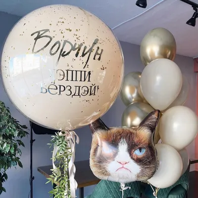 Сердитый кот (набор из 7 шаров), Цветы и подарки в Хабаровске, купить по  цене 2950 RUB, Воздушные шары в Мастерская праздника с доставкой | Flowwow