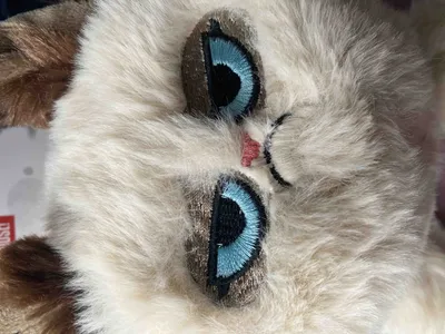 Полосатый шотландский сердитый кот …» — создано в Шедевруме