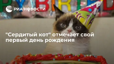 Радиои Озодӣ - Легендарный ГрампиКэт («Сердитый кот»),... | Facebook
