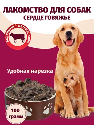 Адресник для собаки сердце большое L серый 37х35 купить в интернет-магазине  Зоомагазин Pardi.ru всего за 390 руб.