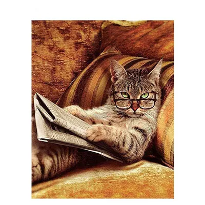😾 пушистый милый серьёзный кот …» — создано в Шедевруме